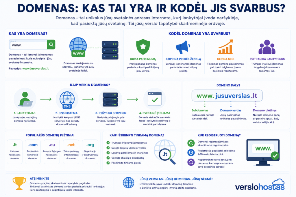 Domenas pagrindai ir svarba verslui