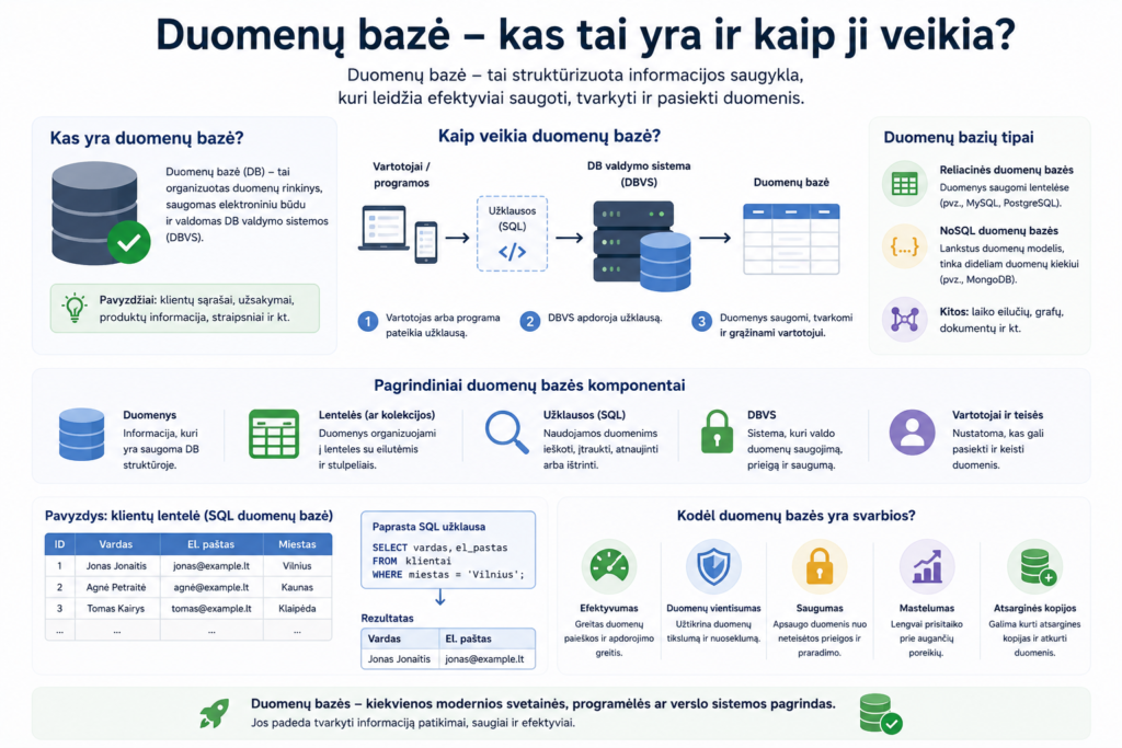 Duomenų bazės pagrindai ir funkcijos