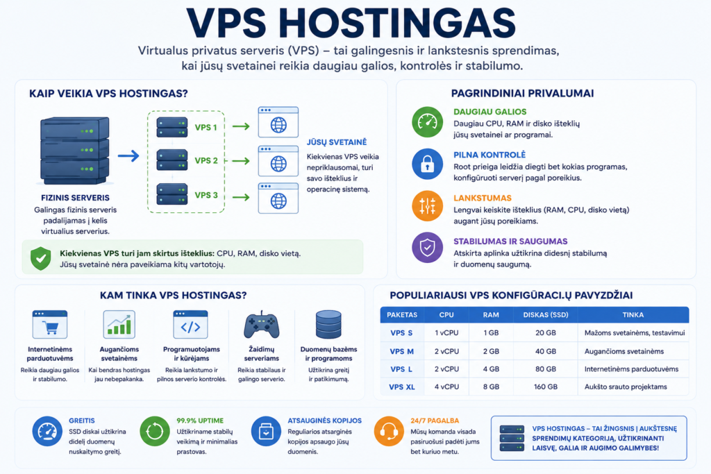 VPS hostingas infografija